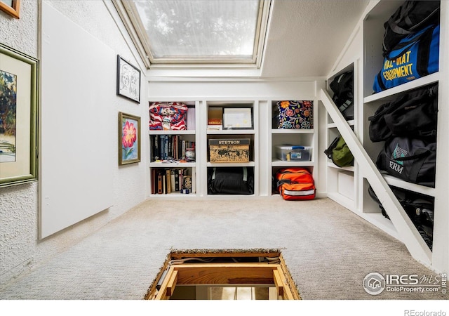 sitting room with carpet