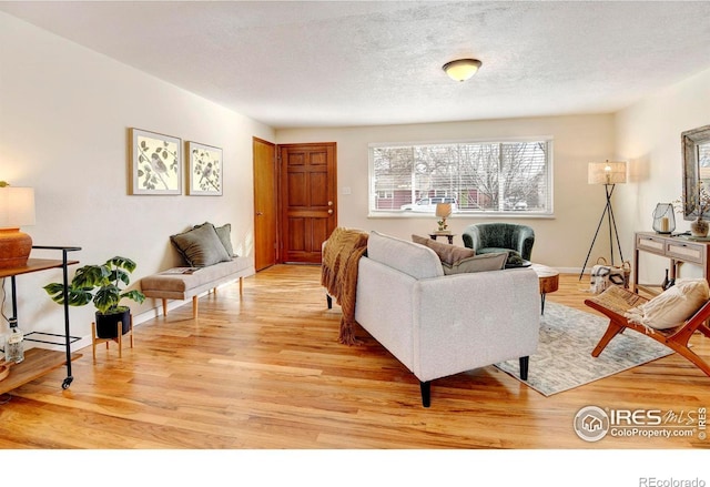 living room featuring a textured ceiling and light hardwood / wood-style flooring