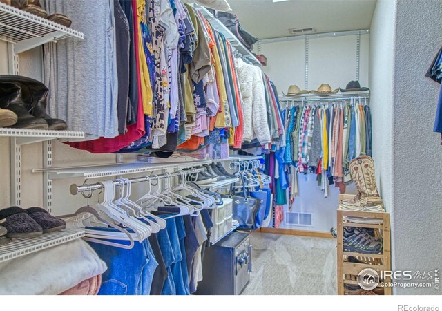 spacious closet featuring carpet