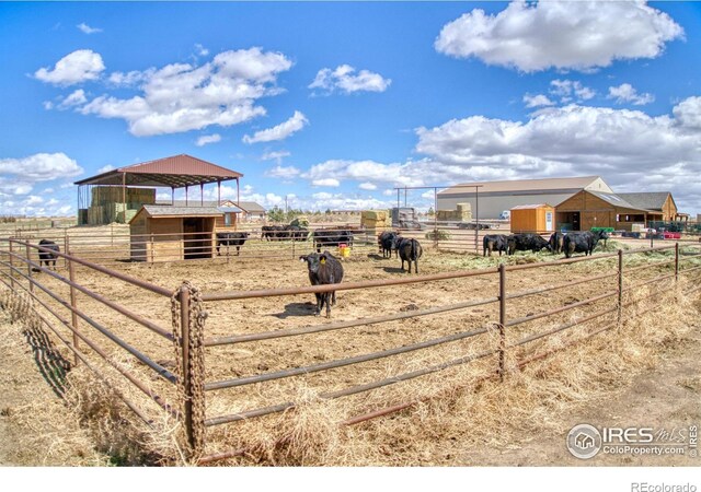 view of yard featuring a rural view