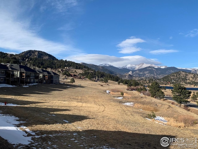 315 Kiowa Dr, Estes Park, CO 80517 - photo 39