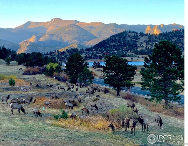 mountain view featuring a rural view