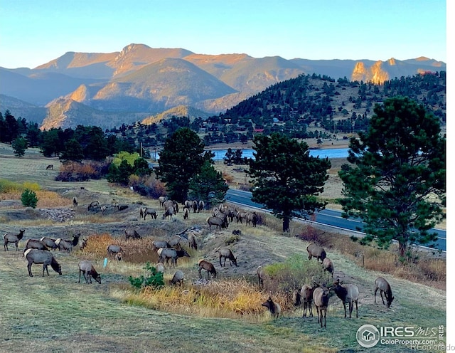 315 Kiowa Dr, Estes Park, CO 80517 - photo 1