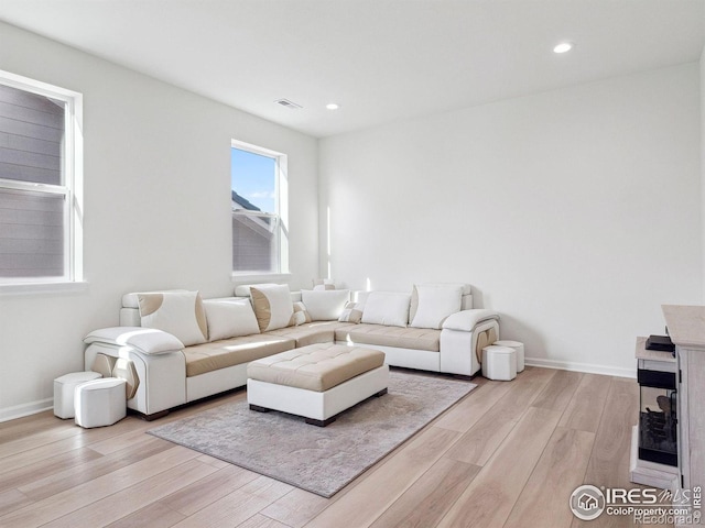 living room featuring light wood-type flooring