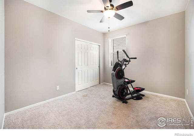 workout room featuring carpet floors, baseboards, and a ceiling fan