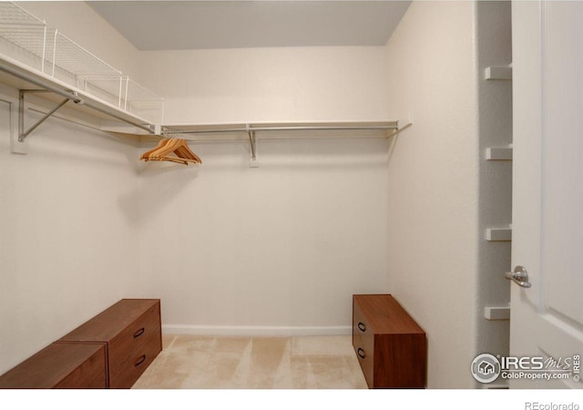 walk in closet with light colored carpet