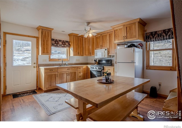 kitchen featuring ceiling fan, sink, white appliances, and light hardwood / wood-style flooring