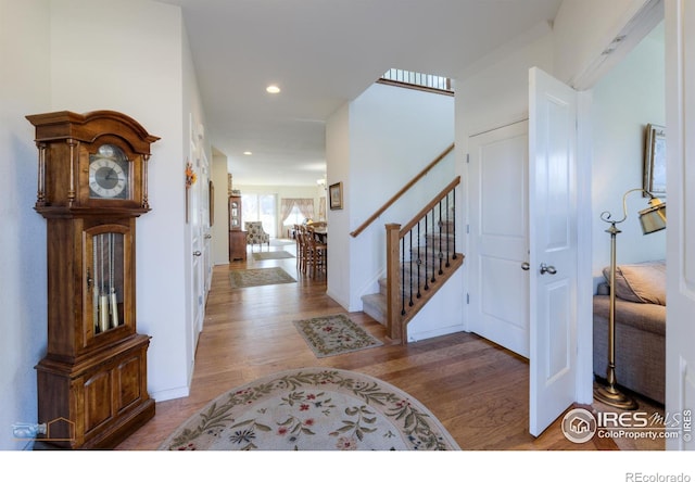 entrance foyer featuring wood-type flooring