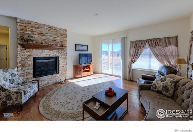 living room with wood-type flooring and a stone fireplace