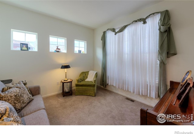 living room featuring carpet flooring