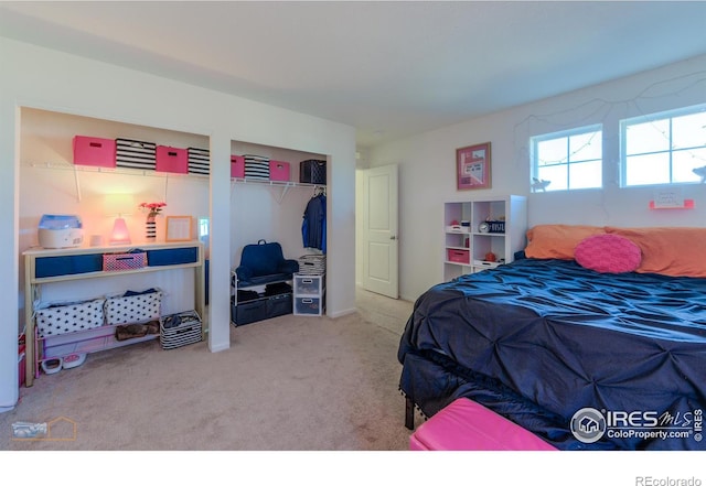 bedroom with carpet flooring and a closet