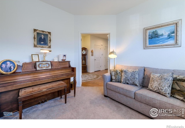 living room with light carpet