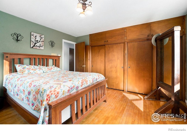 bedroom featuring a closet and light hardwood / wood-style flooring