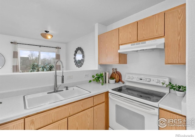 kitchen with under cabinet range hood, white electric range oven, light countertops, and a sink