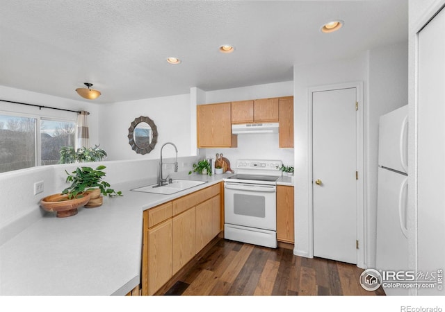 kitchen featuring dark wood finished floors, light countertops, a sink, white appliances, and under cabinet range hood