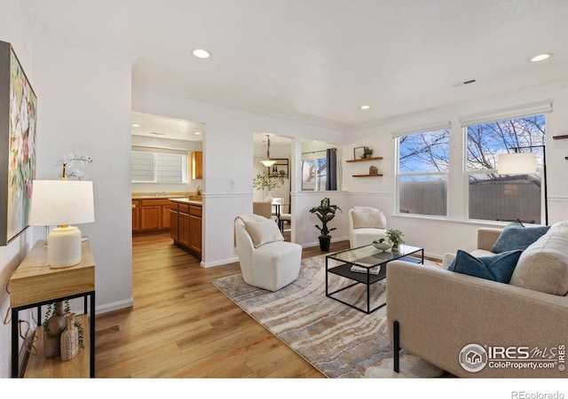 living room featuring a chandelier, light hardwood / wood-style floors, crown molding, and sink