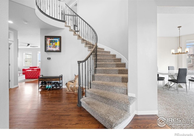 staircase with hardwood / wood-style floors and ceiling fan with notable chandelier