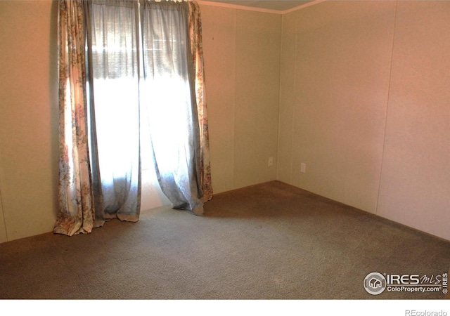 carpeted empty room featuring a healthy amount of sunlight