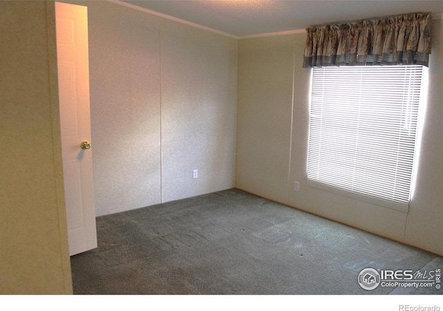 unfurnished room with carpet floors and ornamental molding