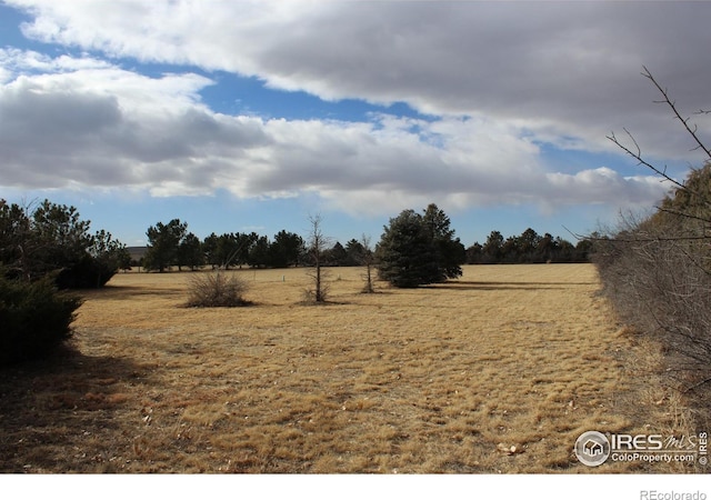 view of yard featuring a rural view