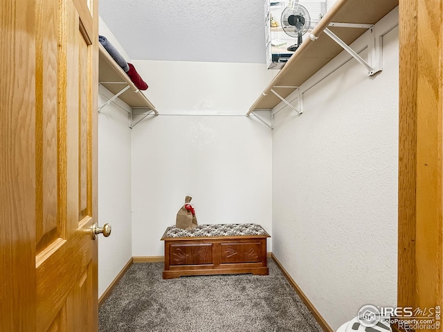 walk in closet featuring dark carpet