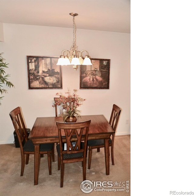 4110 Riley Dr, Longmont, CO 80503 - photo 8