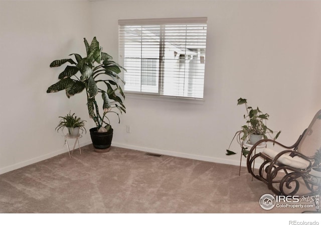 unfurnished room featuring carpet flooring