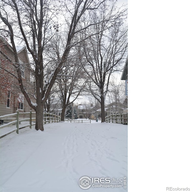 view of yard layered in snow