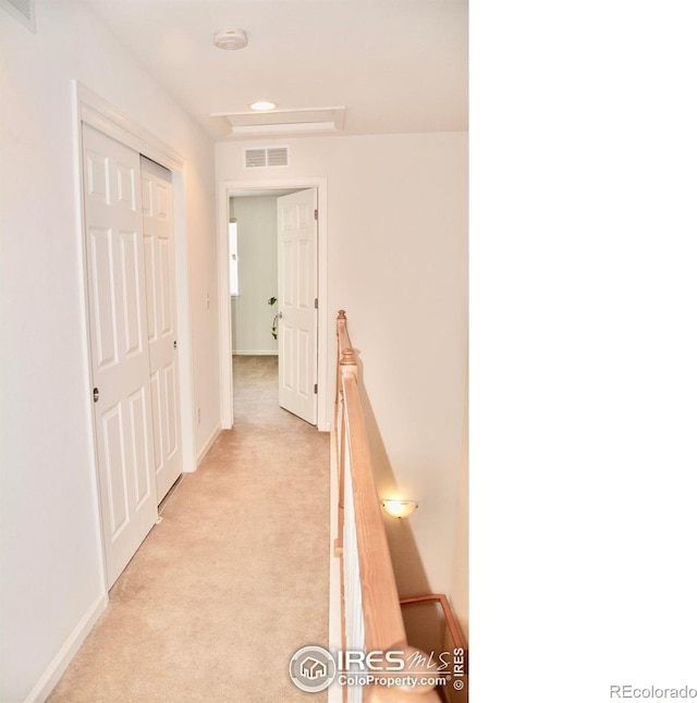 4110 Riley Dr, Longmont, CO 80503 - photo 19