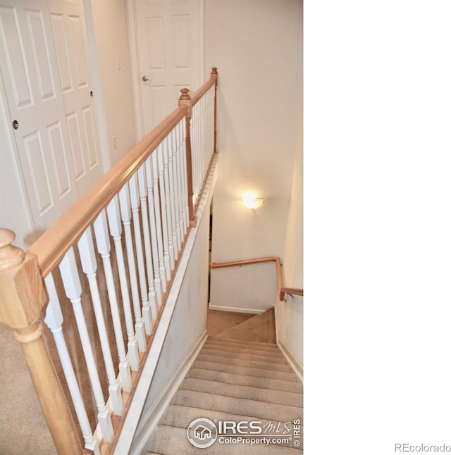 4110 Riley Dr, Longmont, CO 80503 - photo 20