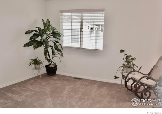 4110 Riley Dr, Longmont, CO 80503 - photo 21