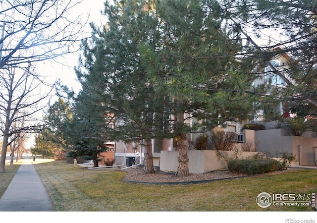 4110 Riley Dr, Longmont, CO 80503 - photo 26