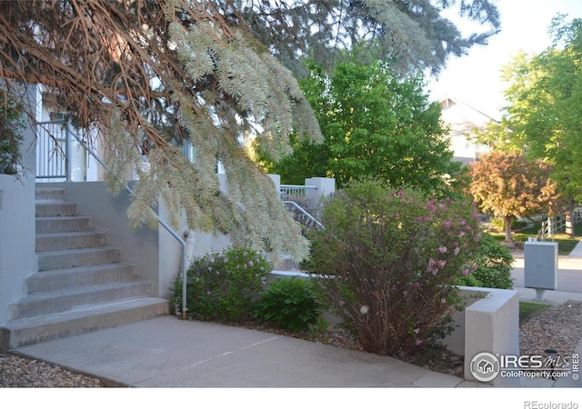 4110 Riley Dr, Longmont, CO 80503 - photo 29