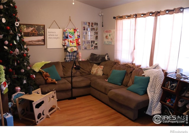 living room featuring light hardwood / wood-style flooring