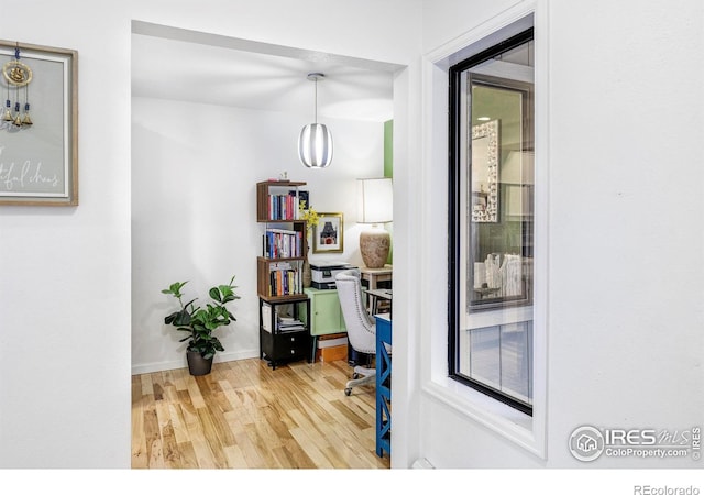 office space with wood-type flooring