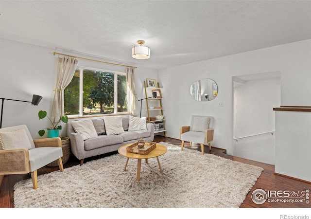 living room with dark hardwood / wood-style flooring