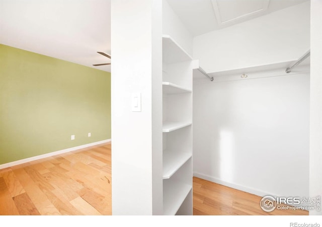 spacious closet featuring hardwood / wood-style flooring and ceiling fan