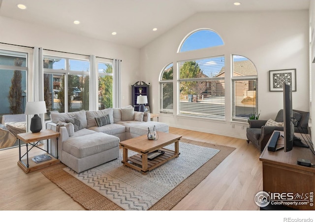 living room featuring high vaulted ceiling and light hardwood / wood-style floors