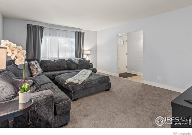 view of carpeted living room