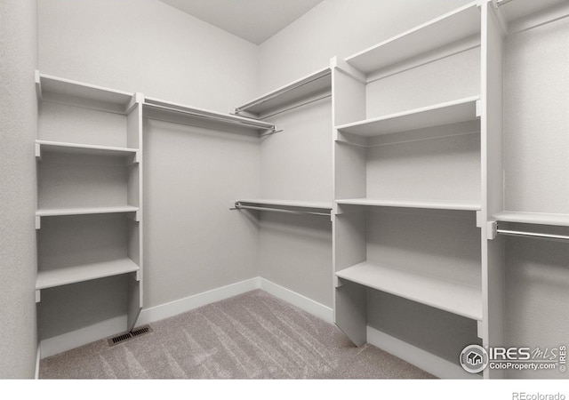 spacious closet featuring light colored carpet