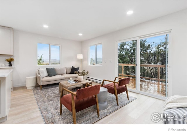 living room featuring light hardwood / wood-style floors