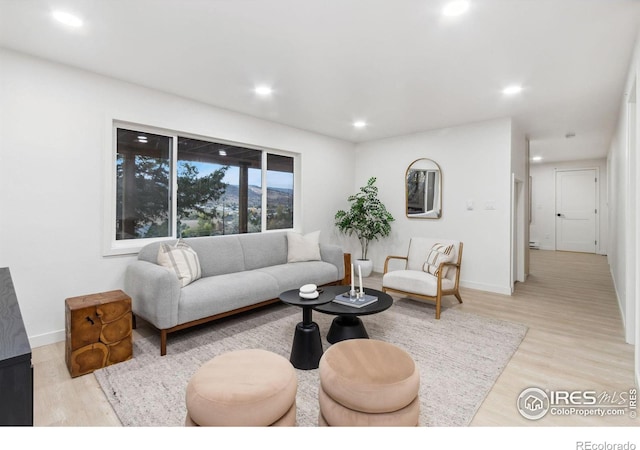 living room featuring light hardwood / wood-style flooring