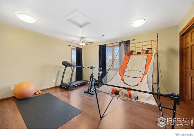 workout area featuring hardwood / wood-style floors