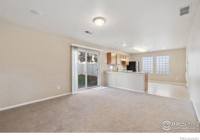 unfurnished living room with light carpet