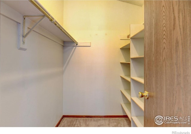 spacious closet with carpet floors