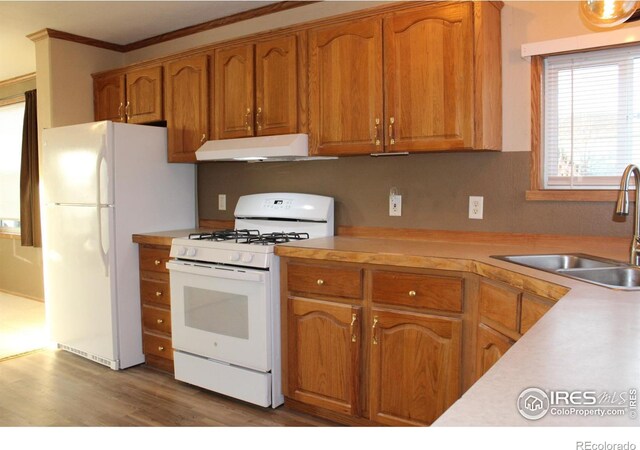 kitchen with under cabinet range hood, white appliances, a sink, light countertops, and brown cabinets