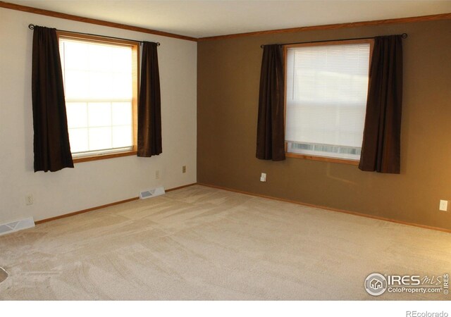 spare room with baseboards, carpet floors, visible vents, and crown molding