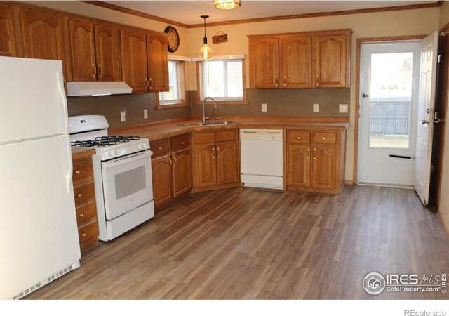 kitchen featuring white appliances, brown cabinetry, light wood-style flooring, under cabinet range hood, and a sink