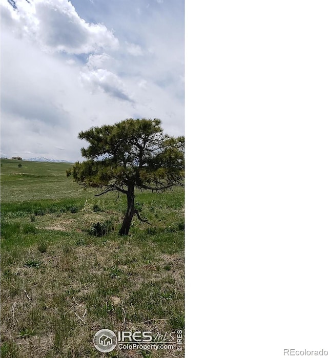 18795 Brown Rd, Colorado Springs, CO 80908