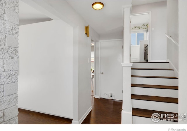 stairs with hardwood / wood-style flooring